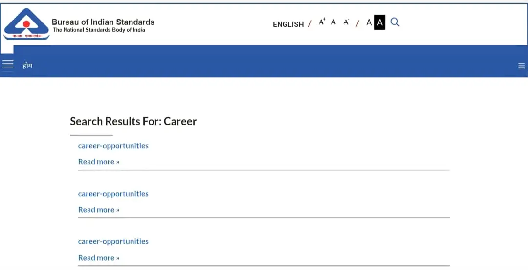 BIS Career Opportunities
