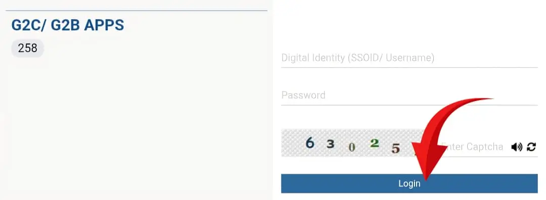 Login SSO
